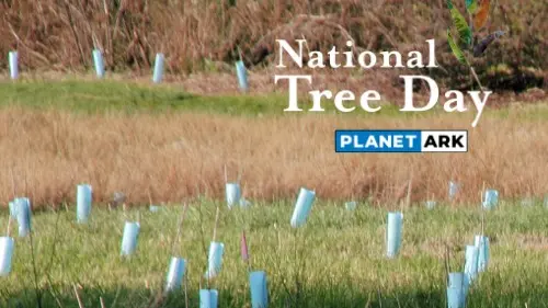 Roll up your sleeves for National Tree Day