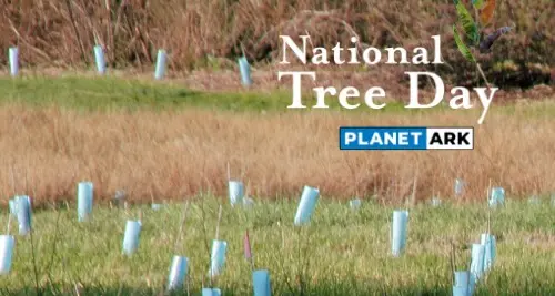 Roll up your sleeves for National Tree Day