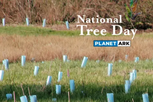 <p>Join the local National Tree Day event on Saturday 25 July. </p>\\n