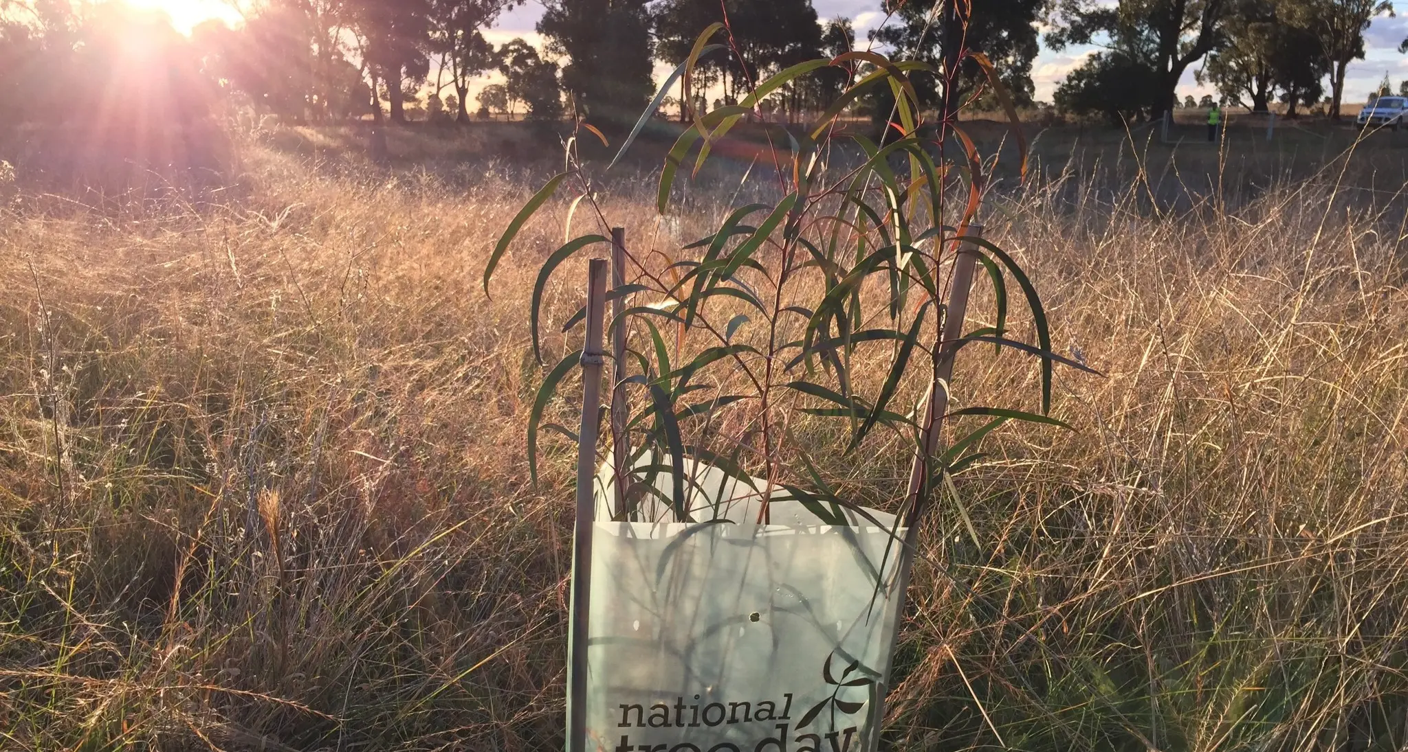 Landcare partner with council for National Tree Day