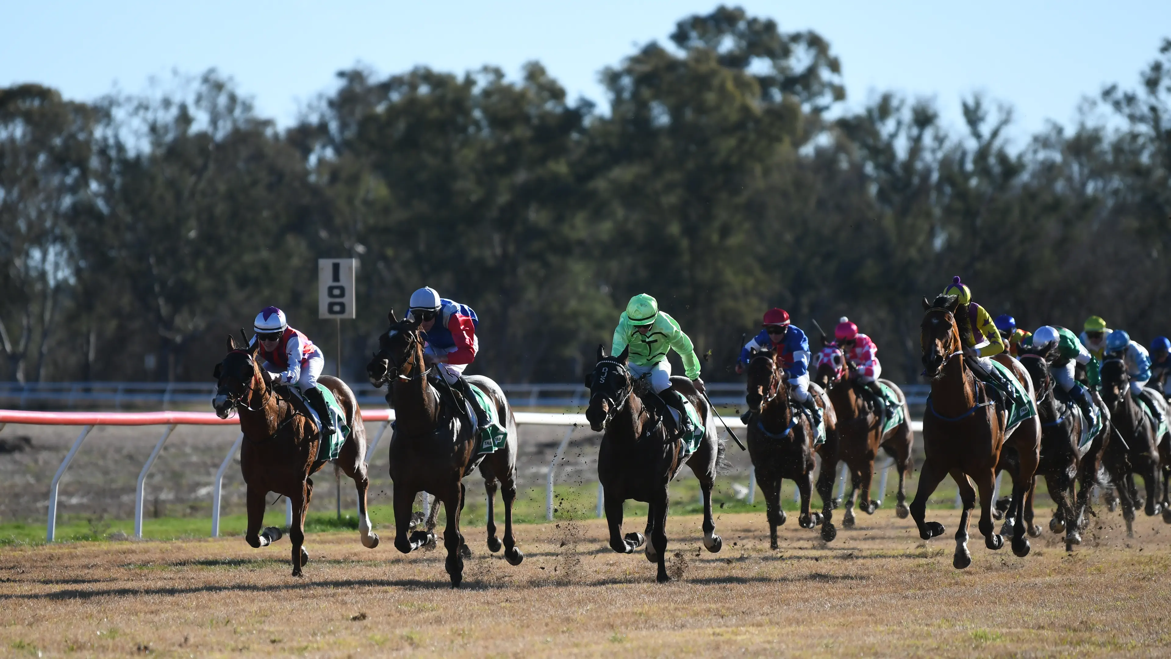 Ready to race: Forbes Cup returns this weekend