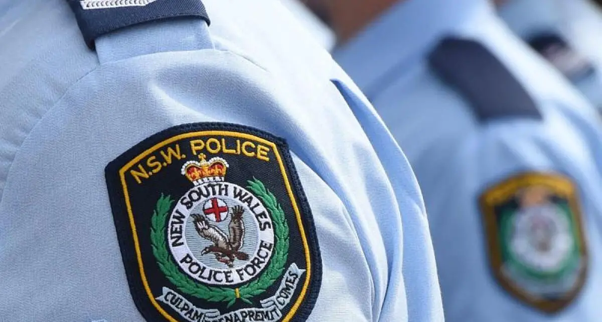 Pursuit, dog attack and more keep police busy
