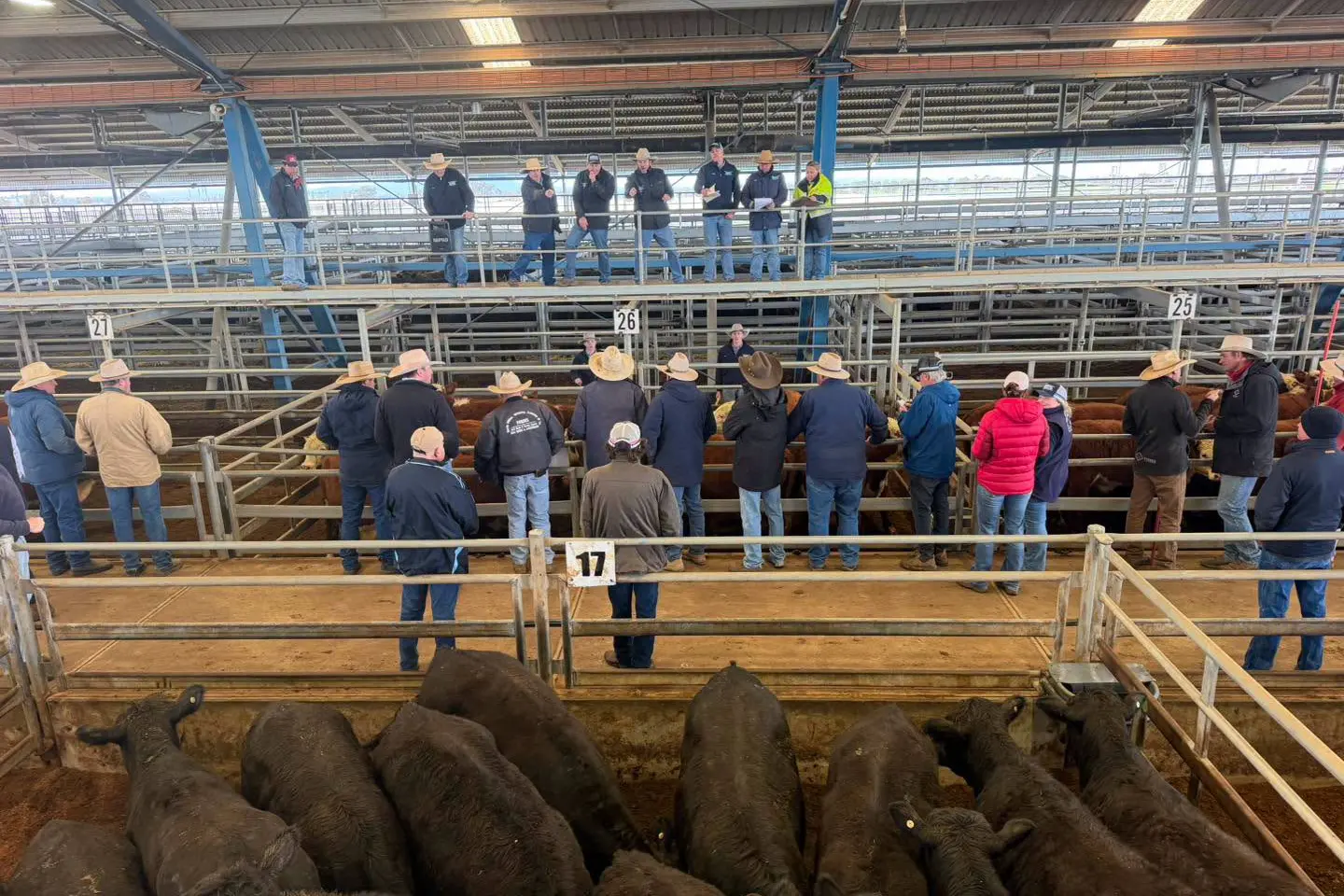 <p>PHOTO: Central West Livestock Exchange</p>\\n