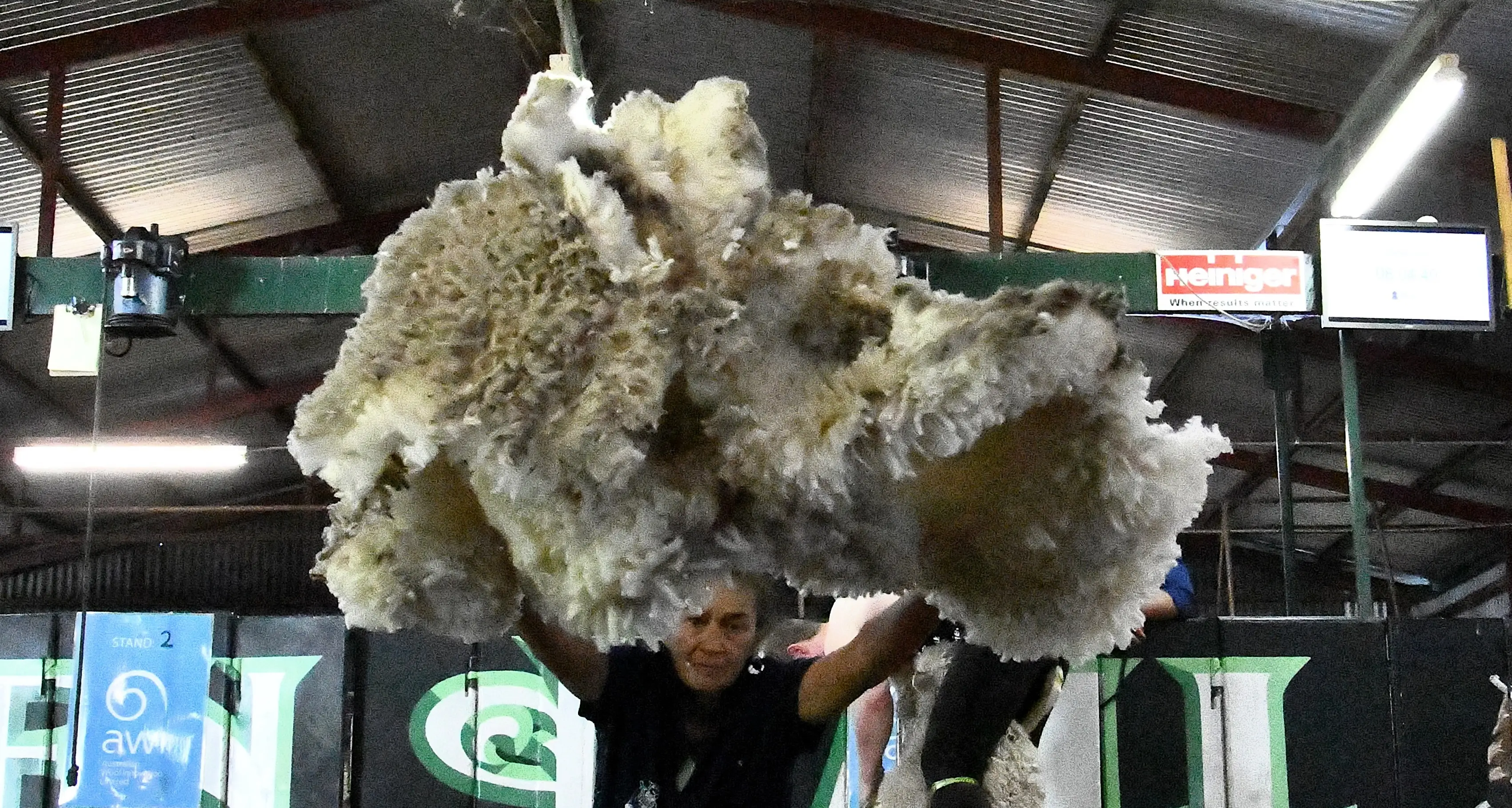 150th Forbes Show: A true test of skill at Ben Hall Shears