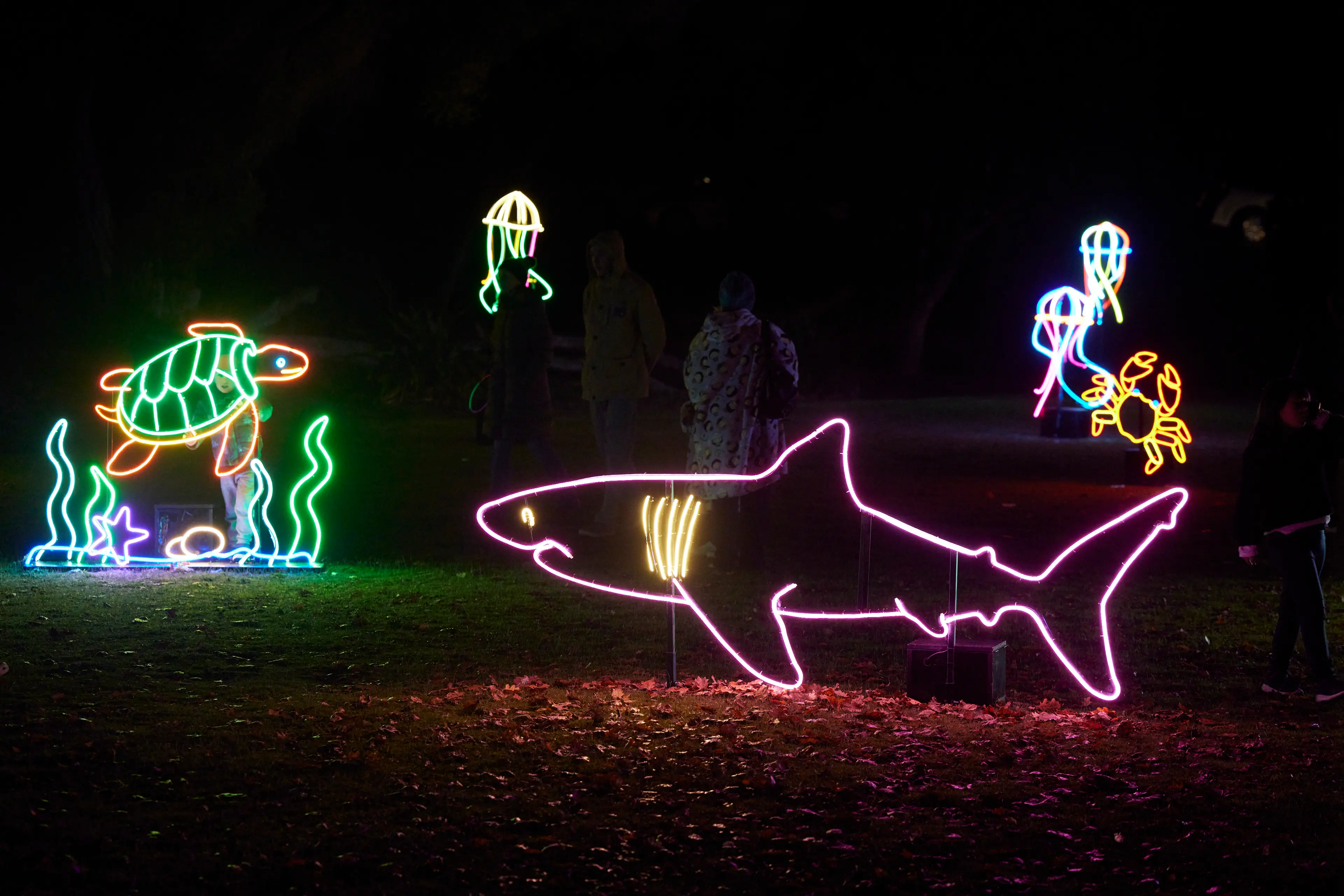 <p>Volter International is returning to Street Dreams with underwater-inspired neon light installations.</p>\\n