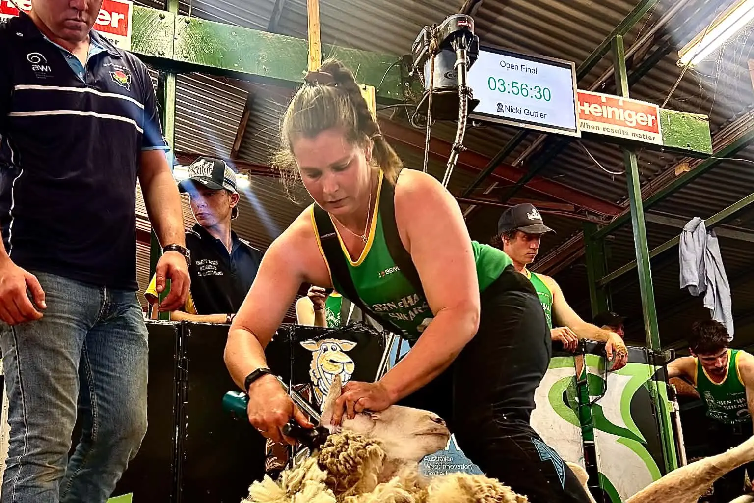 <p>Nicki Guttler shearing her way to the open win at Forbes Show\\u2019s Ben Hall Shears competition.</p>\\n