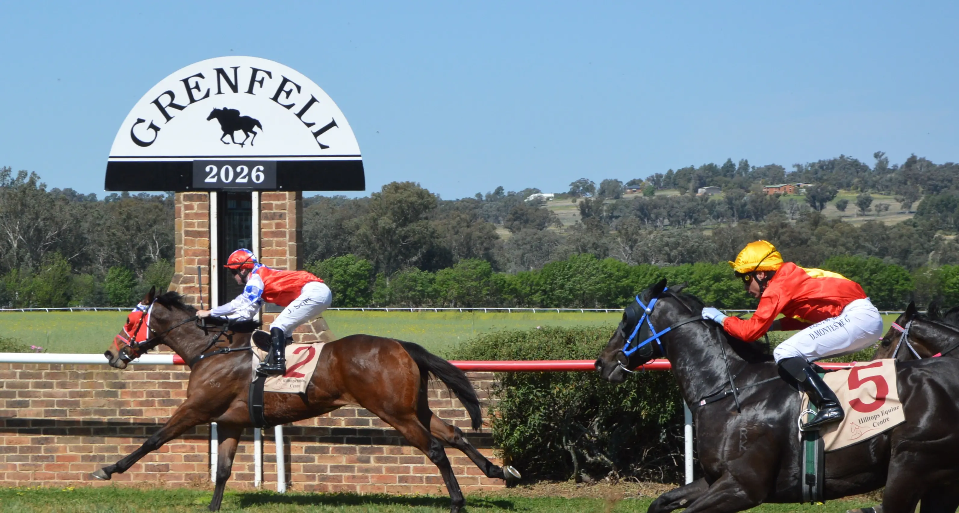 Dennis Bush-trained galloper wins at Grenfell