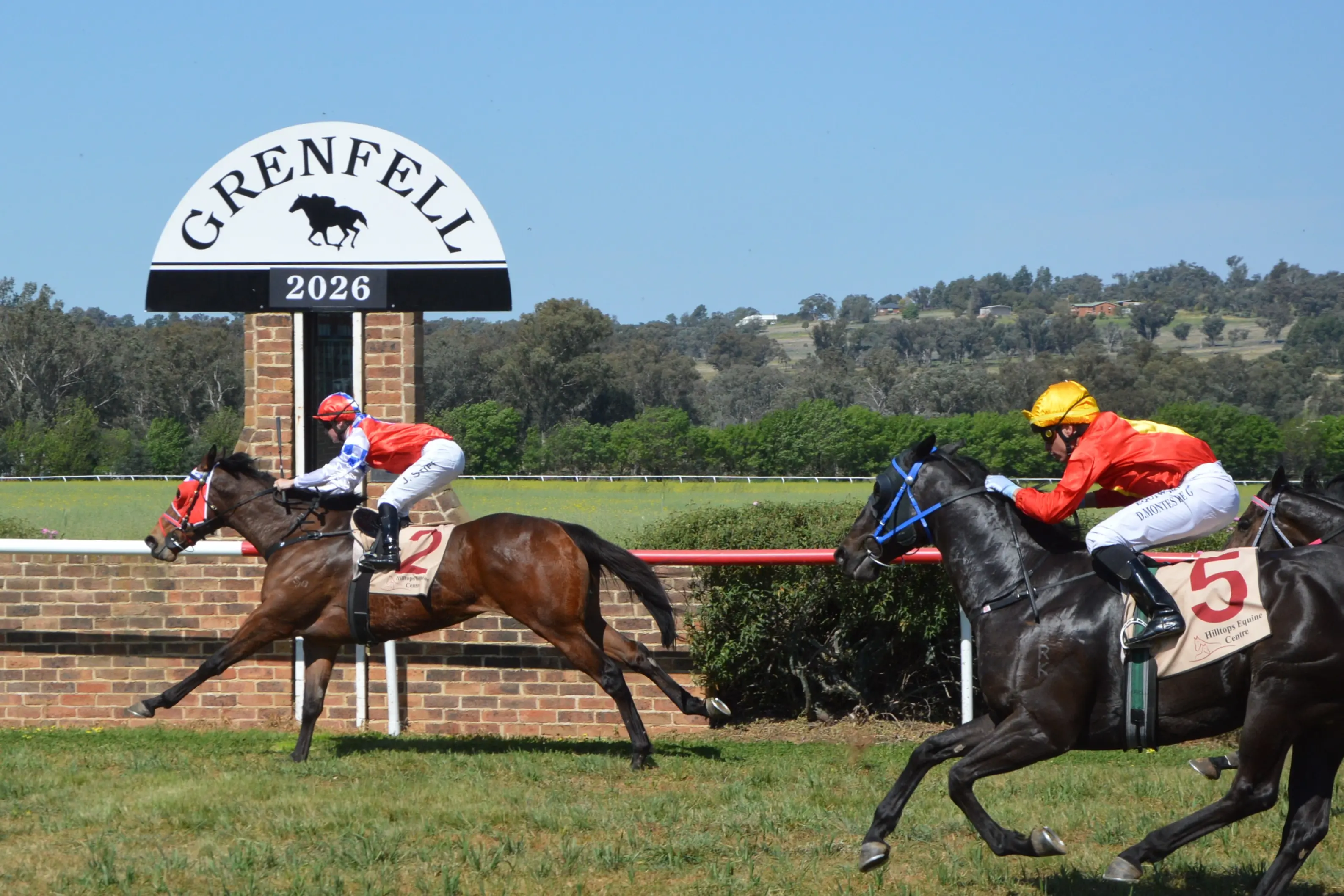 <p>Talkachino with apprentice Jacob Stiff claiming the Grenfell Cup 1.74 lengths ahead of Parkes trained JessandI ridden by Forbes apprentice Jess Del Frari.\\t</p>\\n