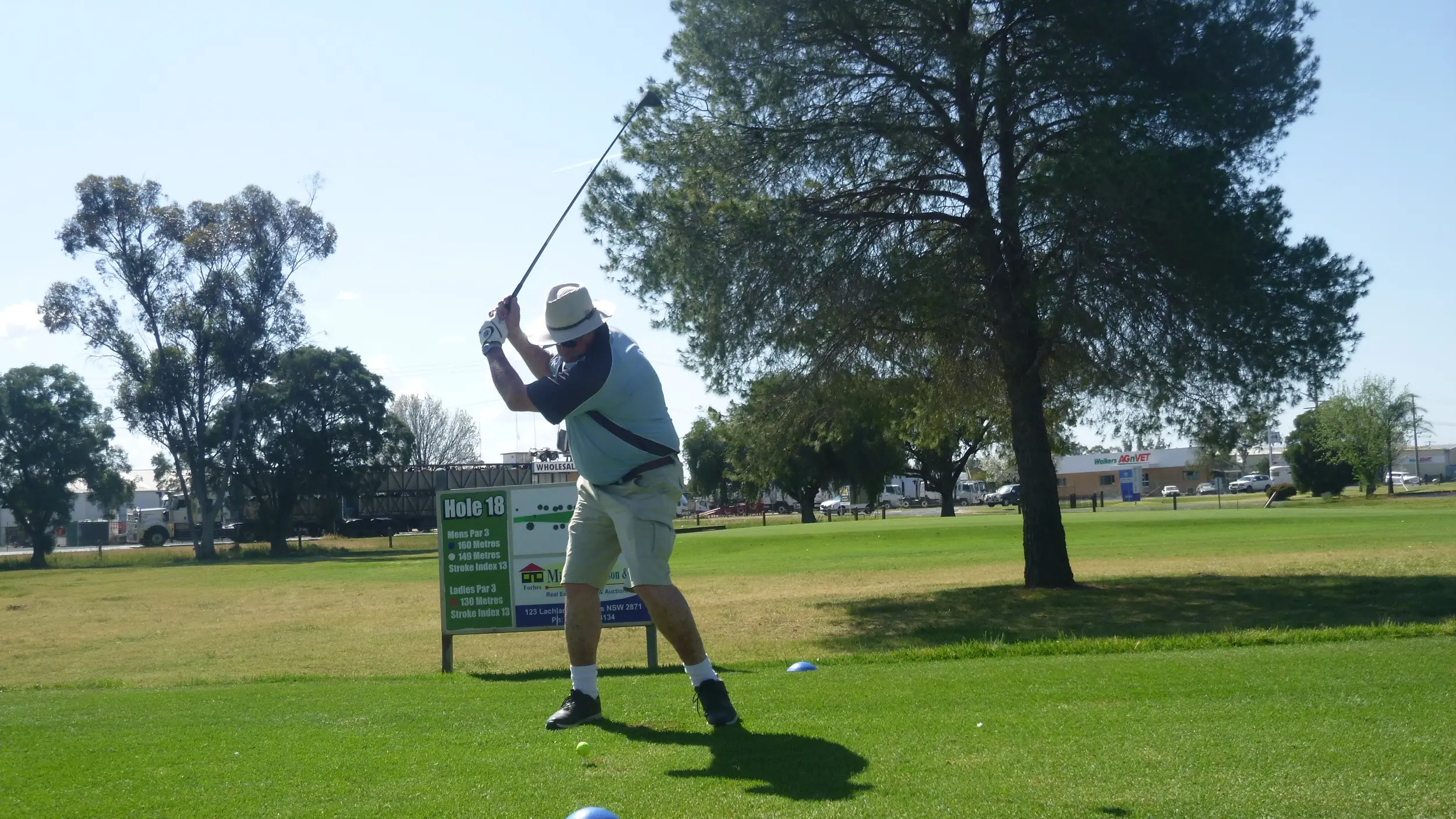 McAlister leads medal field