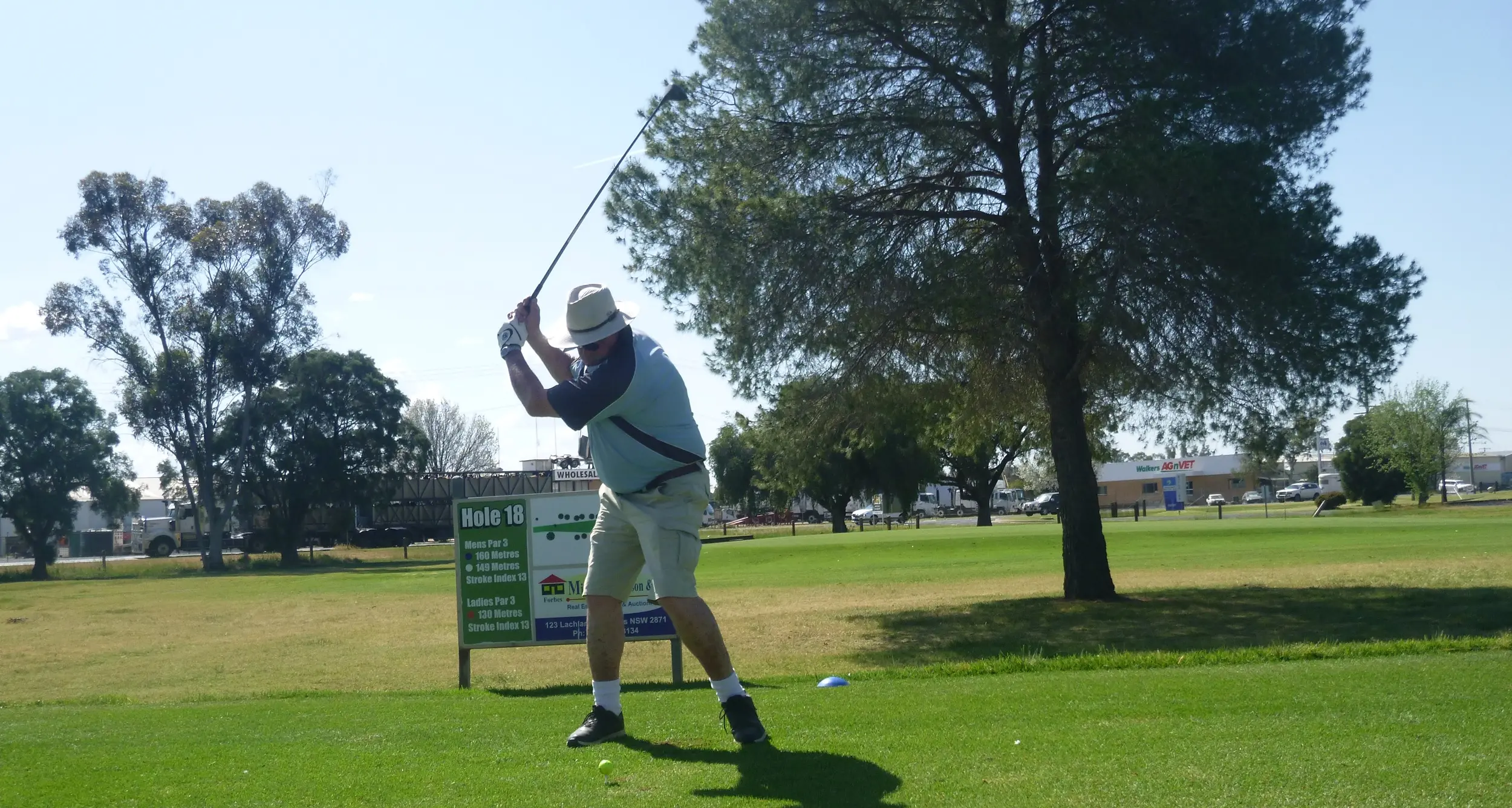 McAlister leads medal field