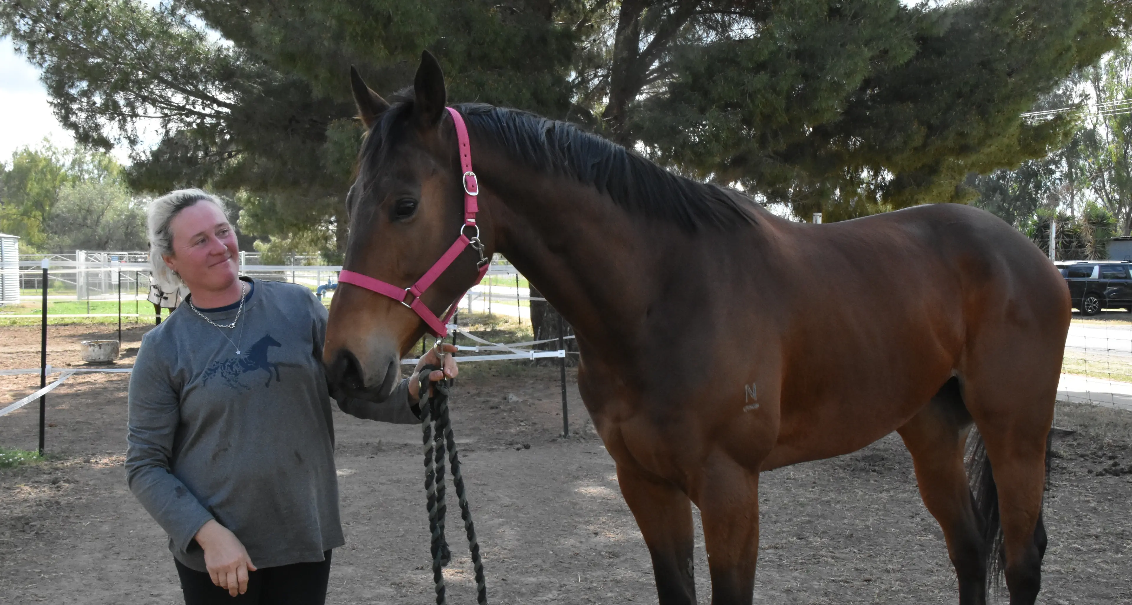Harrison takes momentum into spring racing season