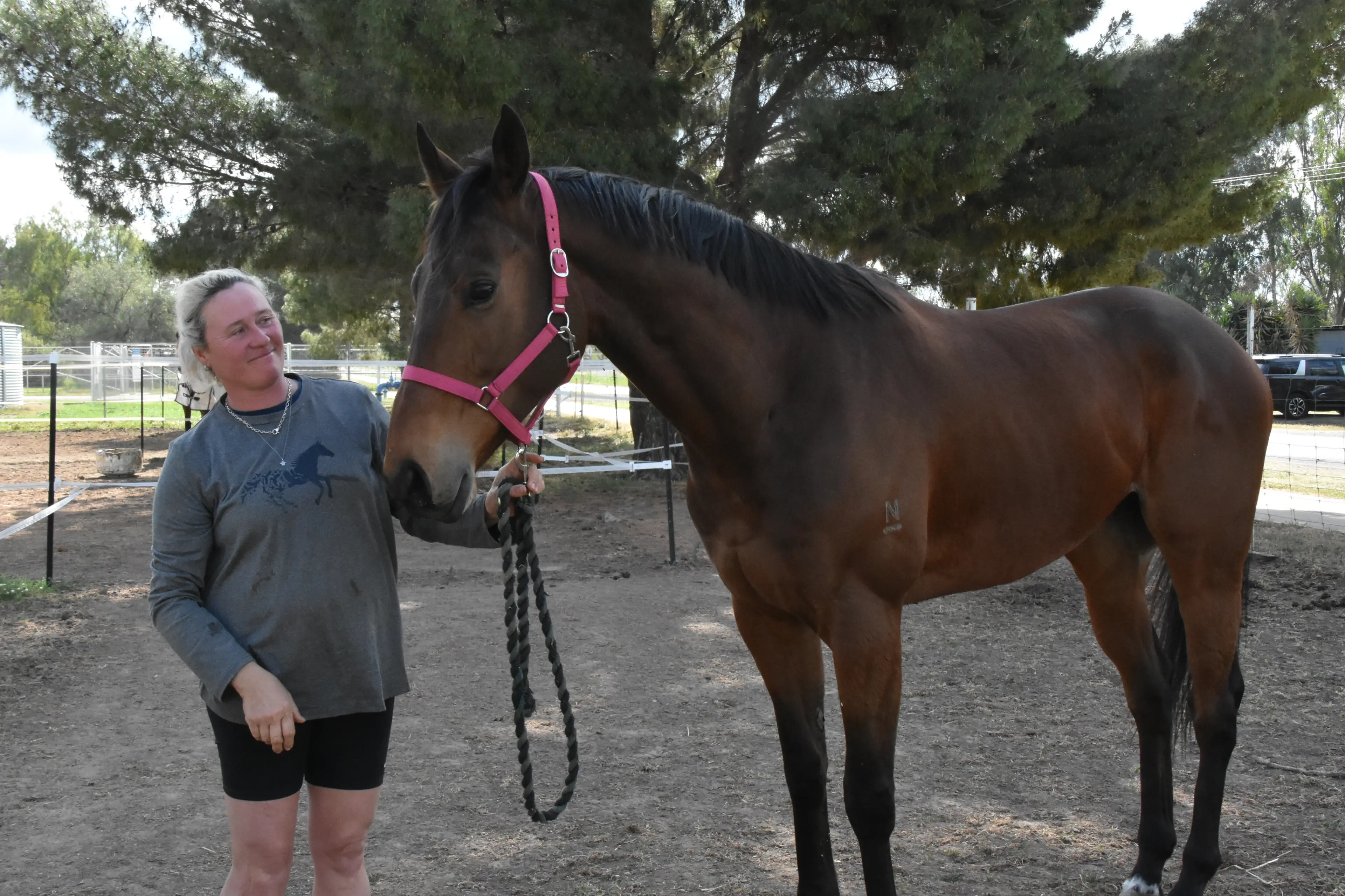 <p>Melissa Harrison is getting Pattera and several other horses from her stable ready for the Forbes Spring Races.</p>\\n
