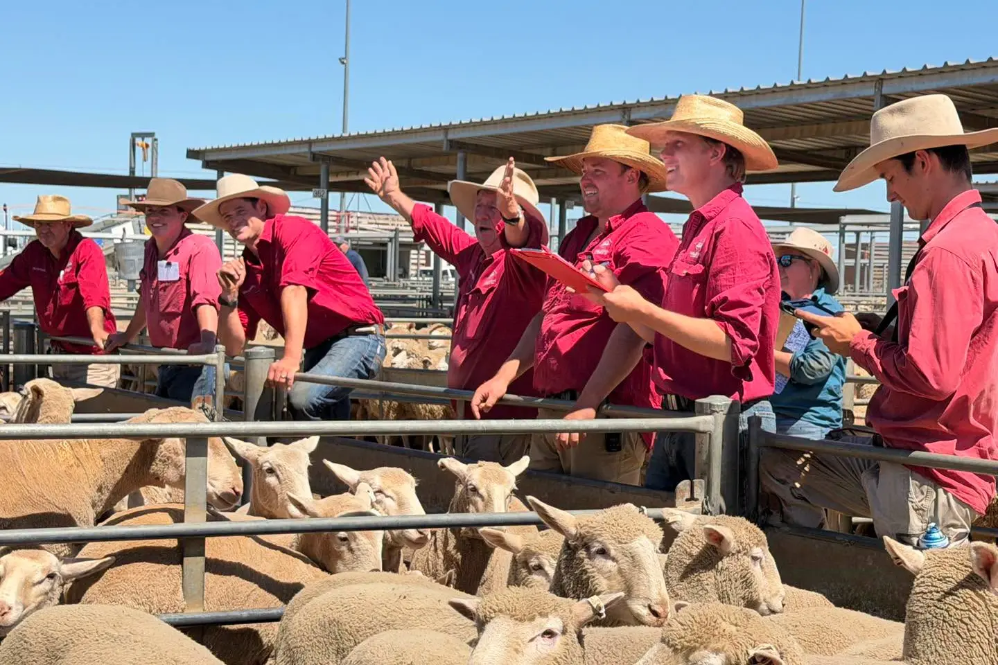 <p>Adam Chudleigh selling at Tuesday\\'s sheep sale. PHOTO: Central West Livestock Exchange</p>\\n