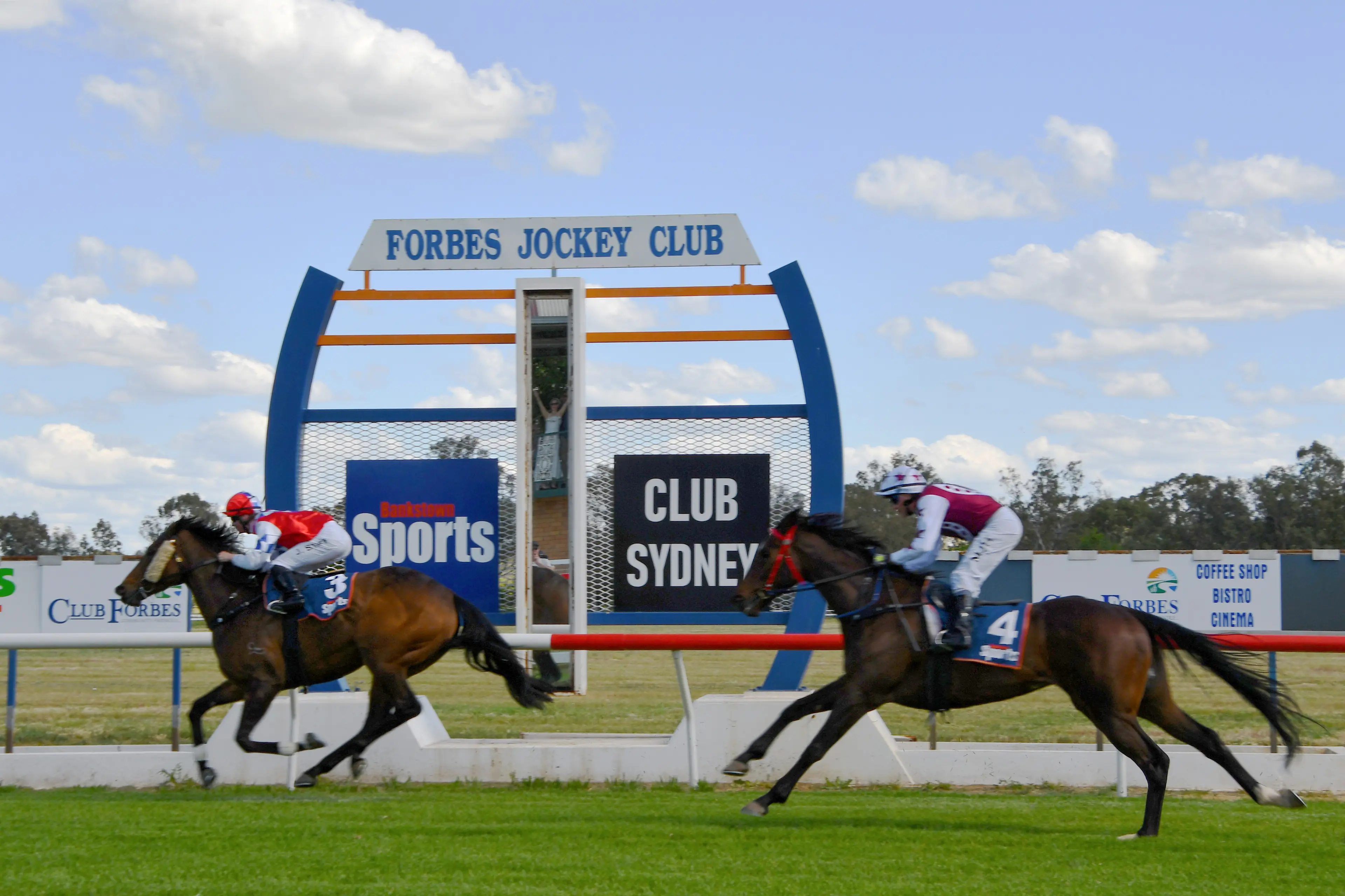 <p>Way To Divine, owned by Michael Hackett won Race 2 by a length. PHOTOS: Jenny Kingham</p>\\n